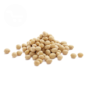 VOANDZOU (AZINGOKOUIN) 1KG